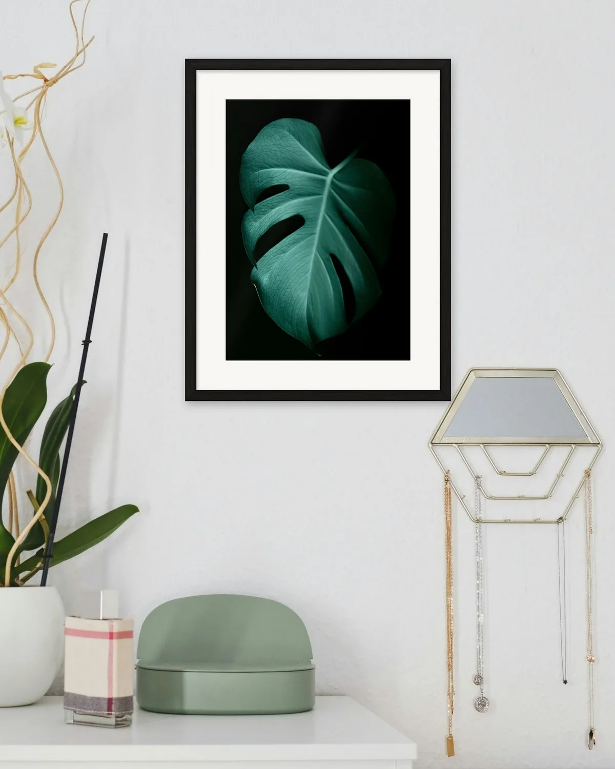 Monstera sötétben