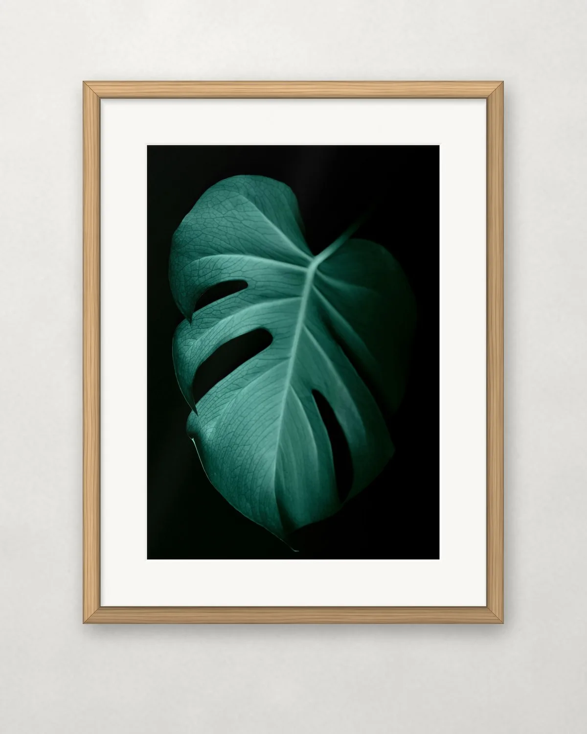 Monstera sötétben