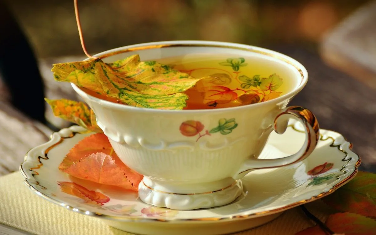 Herbal teas for colds: chamomile, sage, ginger — which for what?