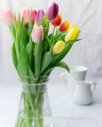 Tarka tulipáncsokor