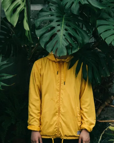 Monstera széldzseki — neonsárga
