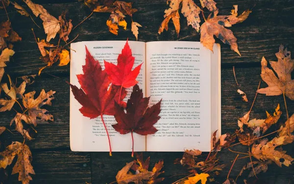 Őszi olvasólista: 6 klasszikus a hosszú estékre