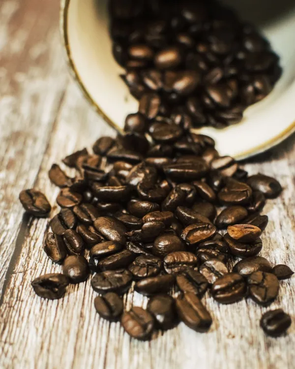 Kenya Nyeri AA Gatomboya