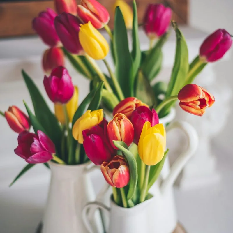 Tarka tulipáncsokor