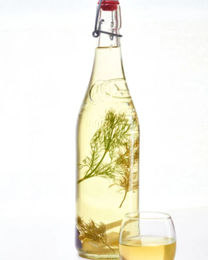 Erjedő élőflórás kombucha – Bodza–citrom