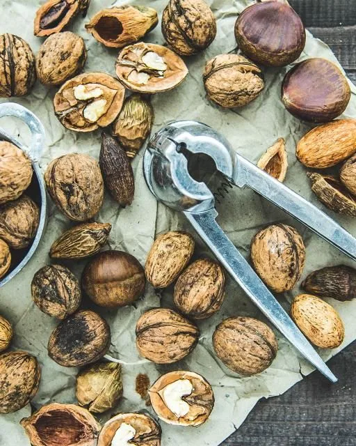 Termelői bio dió, héjas – 1 kg