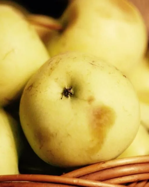 Őszi bio gyümölcsdoboz – kb. 4 kg
