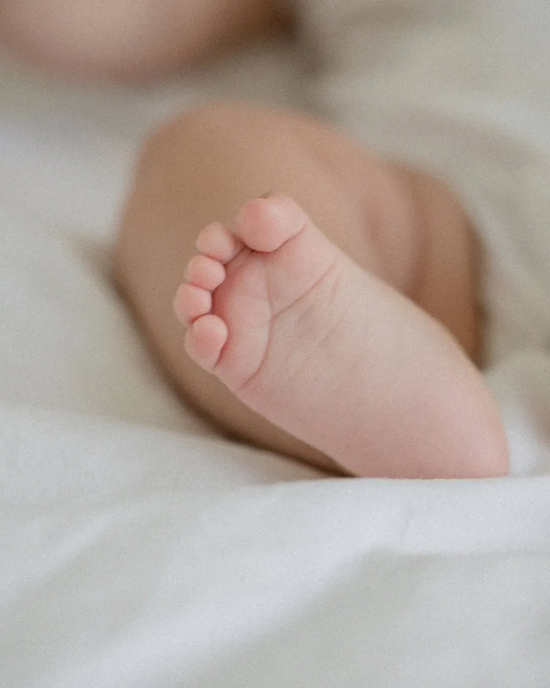 Bimbó Baby muszlin textilpelenka szett (3 db)