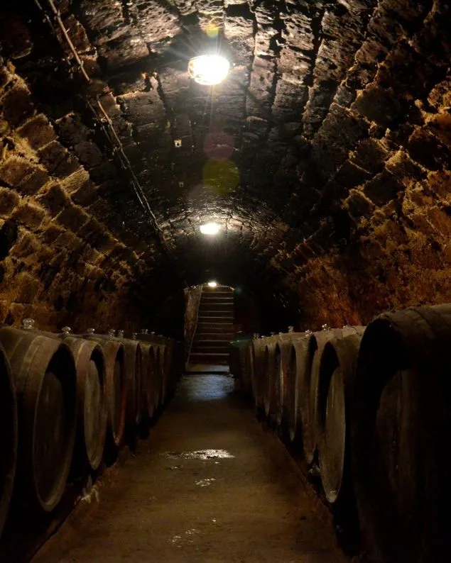 Tokaji Szamorodni édes 2019