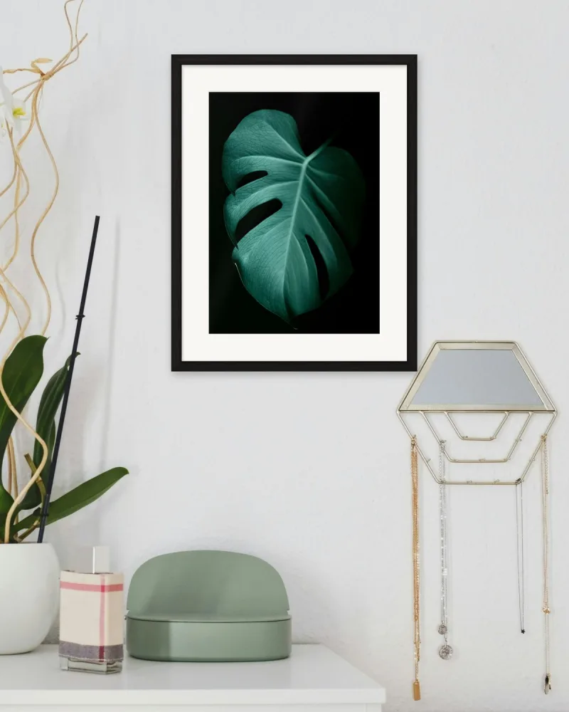 Monstera sötétben