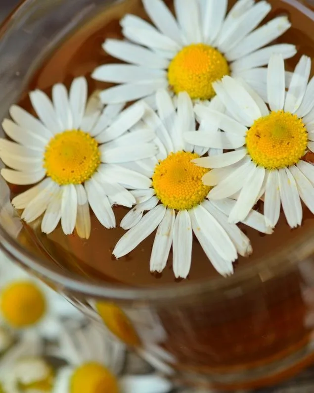 Mecsek Herba kamillavirág tea, 25 filter